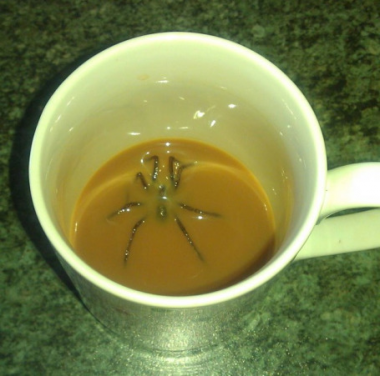 gallery/kaffeetasse-mit-krabbeltier